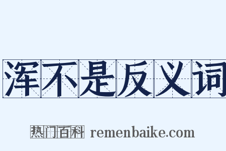 浑不是反义词是什么意思的图片